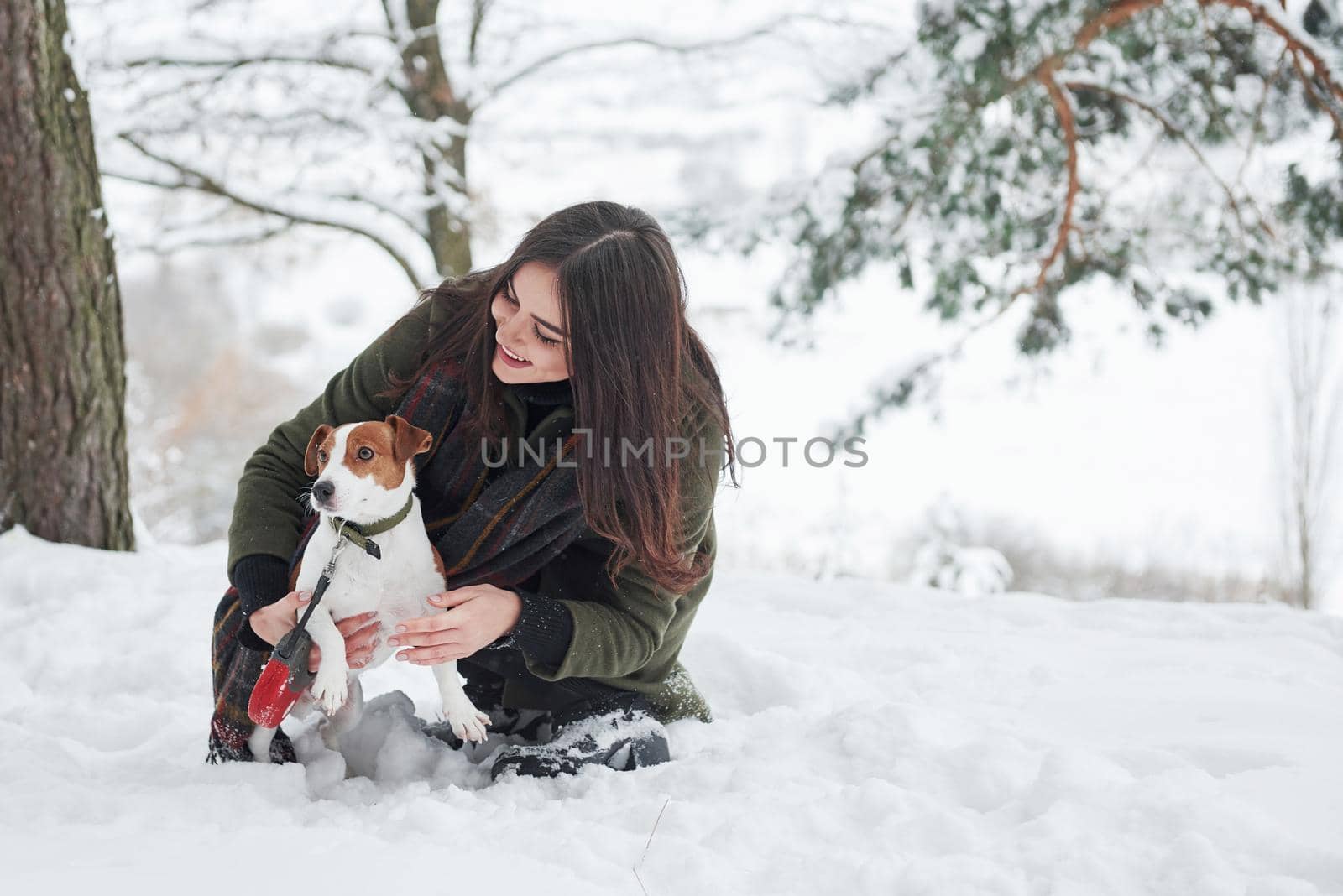 Smiling brunette having fun while walking with her dog in the winter park by Standret