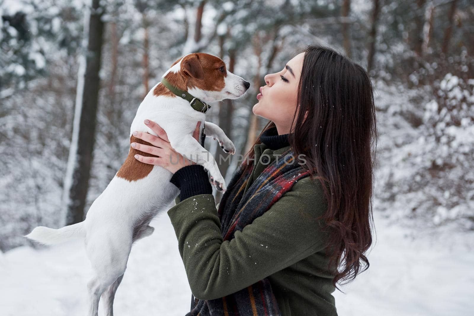 Giving a lovely kiss. Smiling brunette having fun while walking with her dog in the winter park.