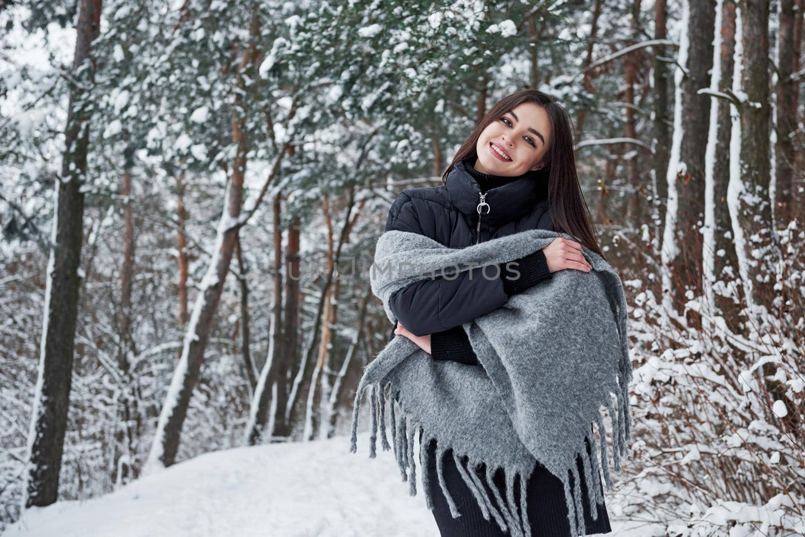 Portrait of charming woman in the black jacket and grey scarf in the winter forest by Standret