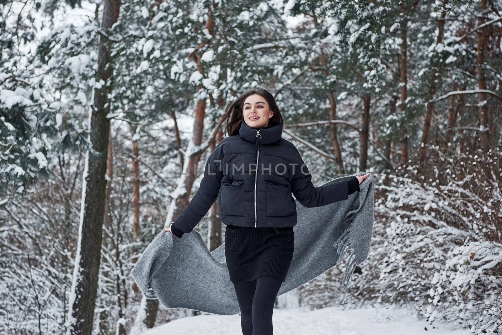 Feel the freedom. Portrait of charming woman in the black jacket and grey scarf in the winter forest.