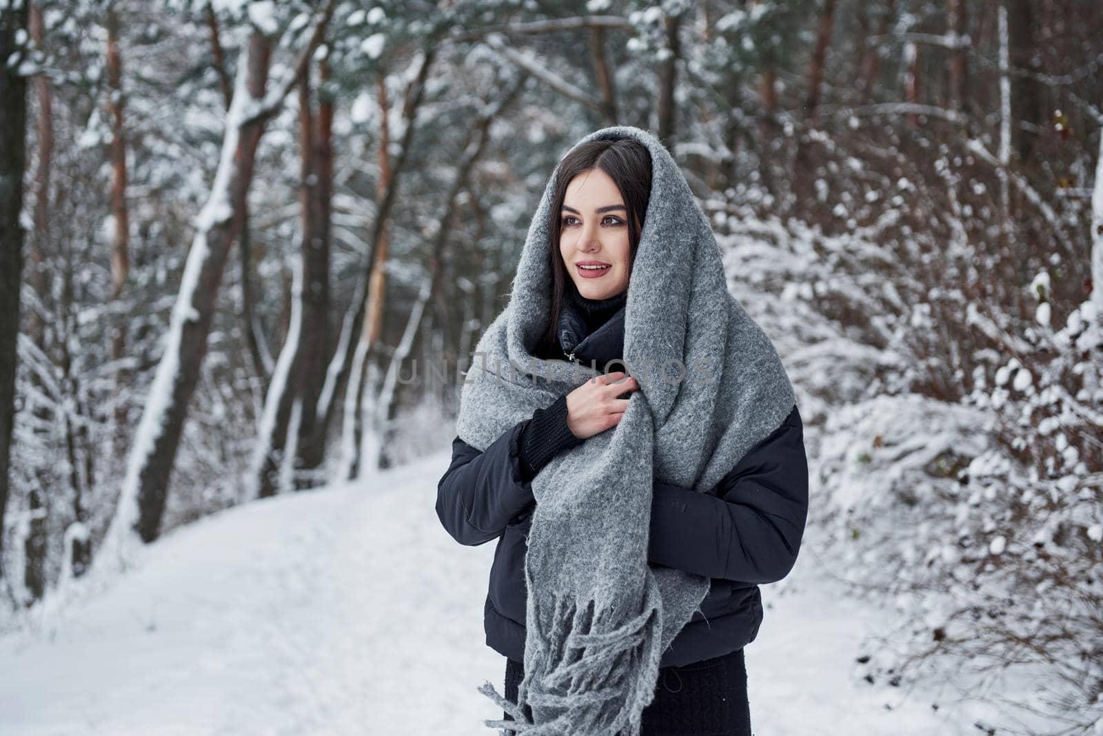 Winter is charming. Portrait of charming woman in the black jacket and grey scarf in the snowy cold forest by Standret