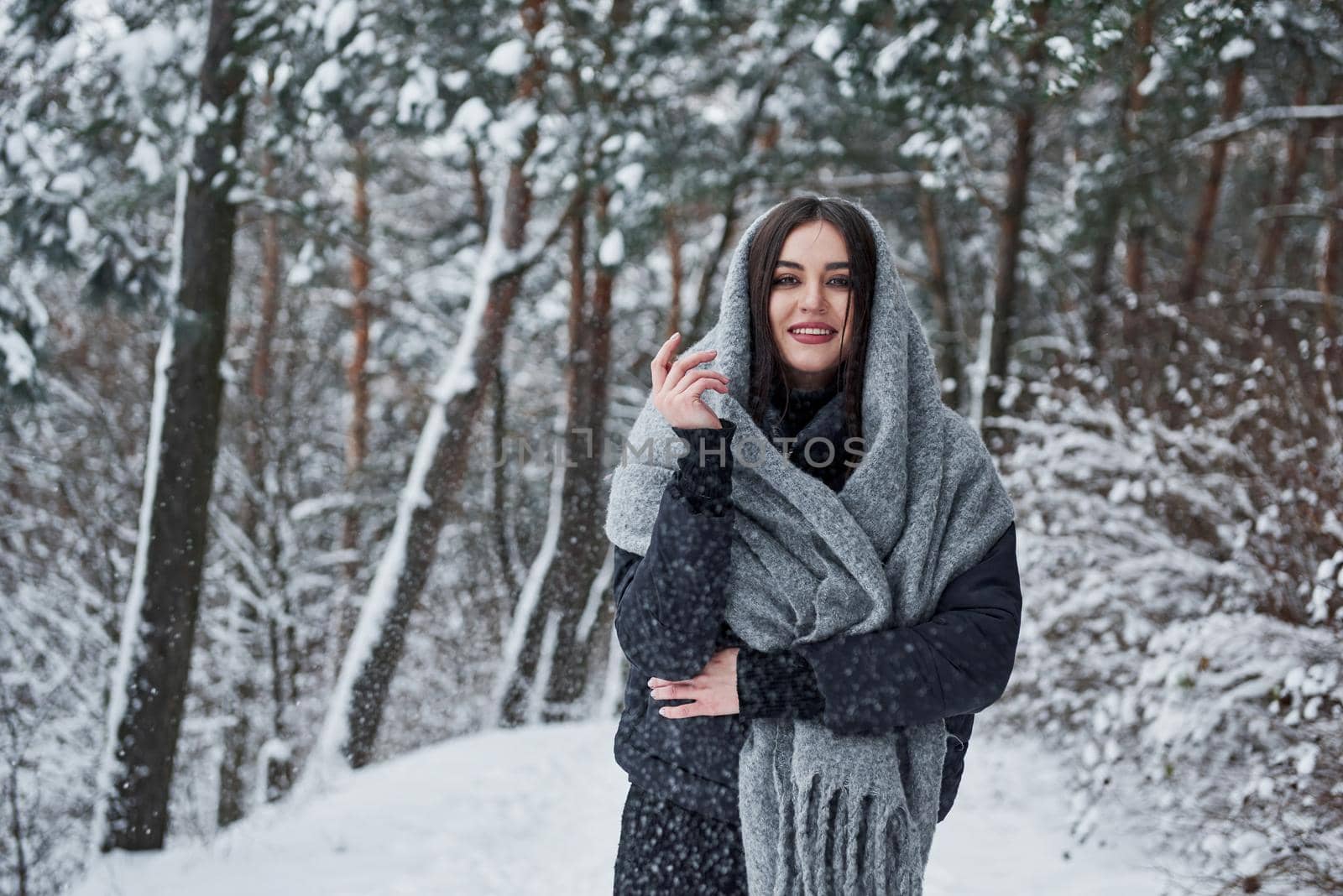 Looking into the camera. Portrait of charming woman in the black jacket and grey scarf in the winter forest.