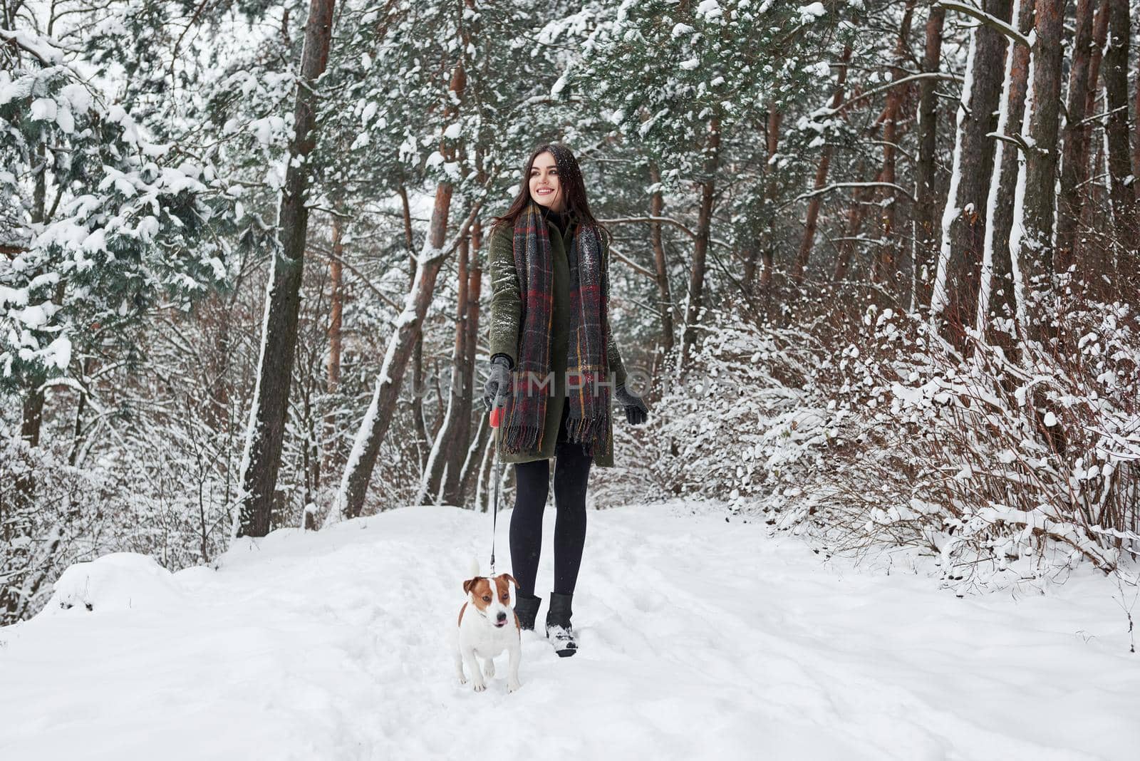 Smiling while looking far away. Woman in warm clothes walks the dog in the snowy forest. Front view.