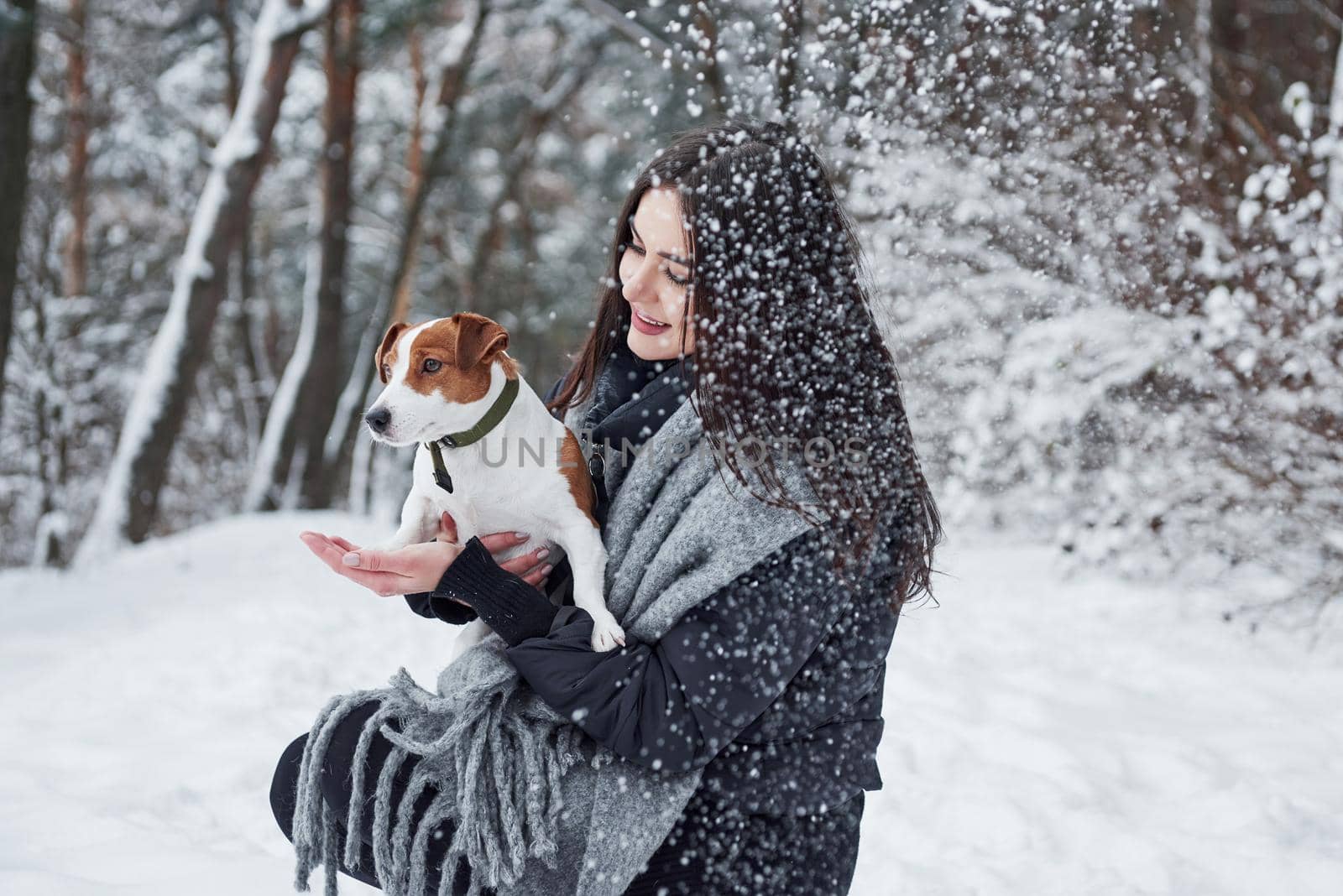 Front paws on the hands. Smiling brunette having fun while walking with her dog in the winter park.