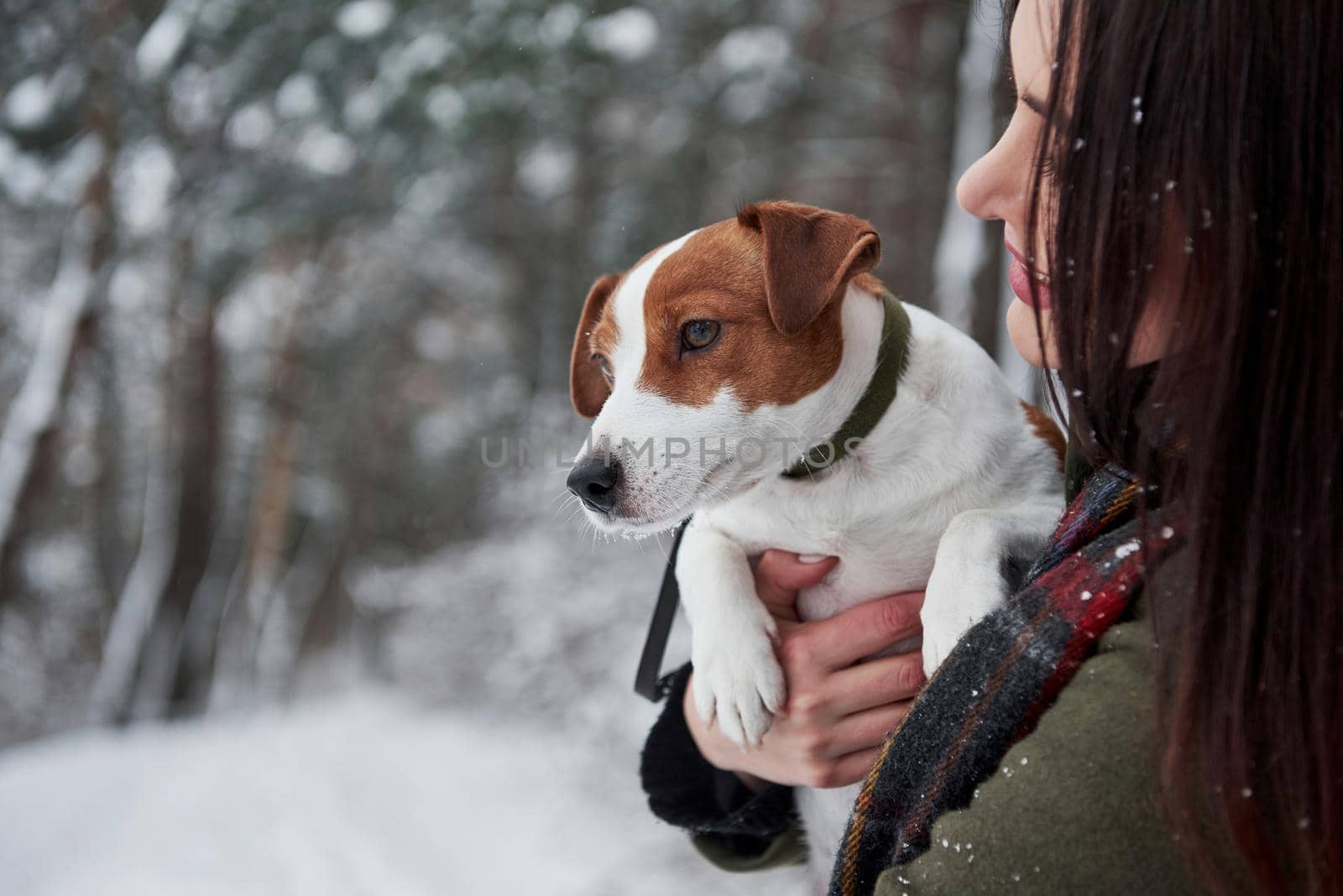 Pretty nice animal. Smiling brunette having fun while walking with her dog in the winter park.