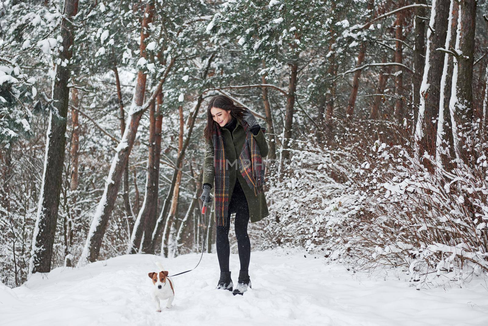Cute little pet outdoors. Woman in warm clothes walks the dog in the snowy forest. Front view by Standret