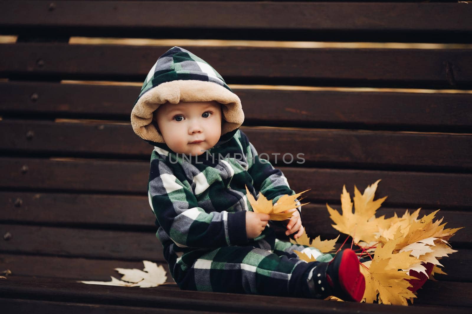 Portrait of cute baby in checked green, blue and black overall with hood sitting on the ground covered with bright dry foliage on autumn day. Fair haired baby in overall on vivid colorful leaves in the autumnal park or forest.