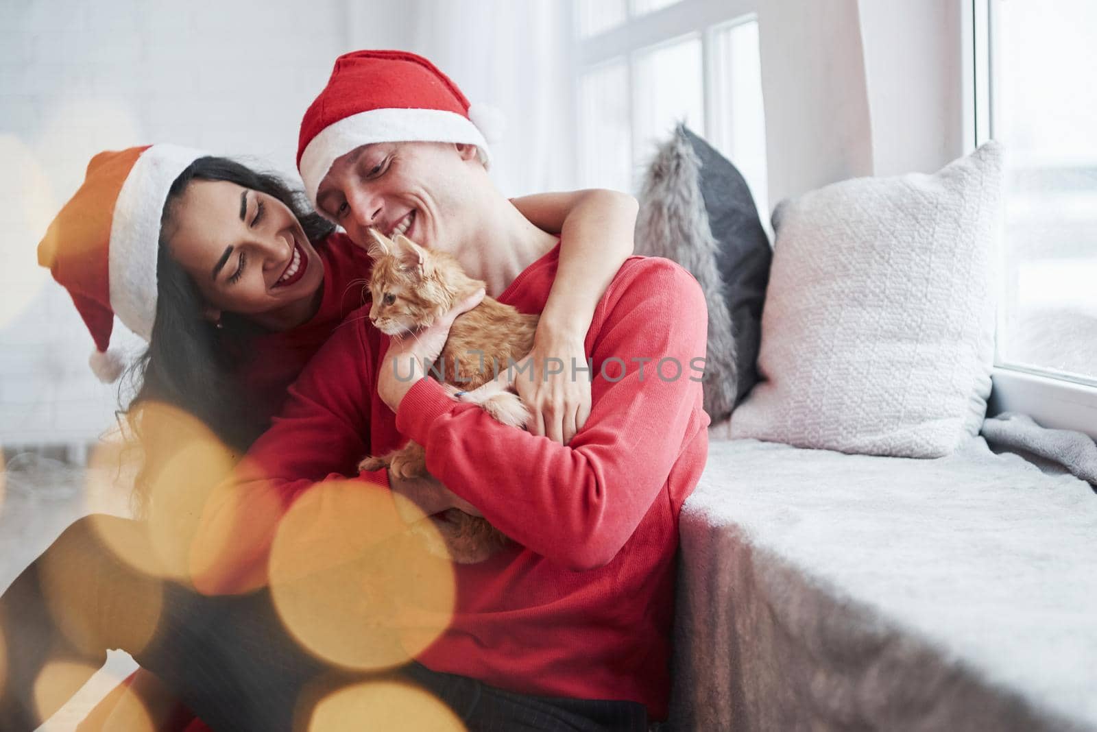 Looking at cat and smiling. Portrait of couple with little kitty celebrates holidays in new year clothes.