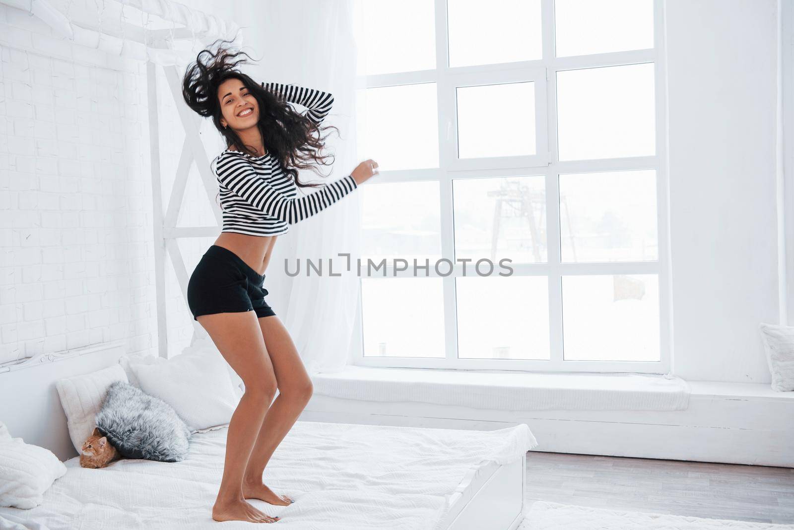 Leisure at holiday time. Dancing in the bedroom at daytime. Beautiful brunette woman having fun. Cat on the couch.
