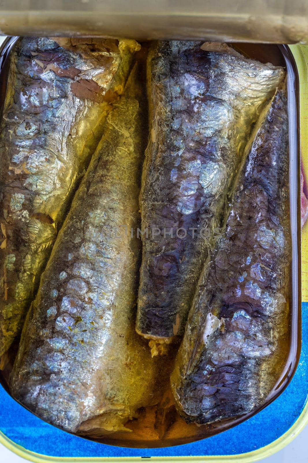 An open can of sardines on a white background