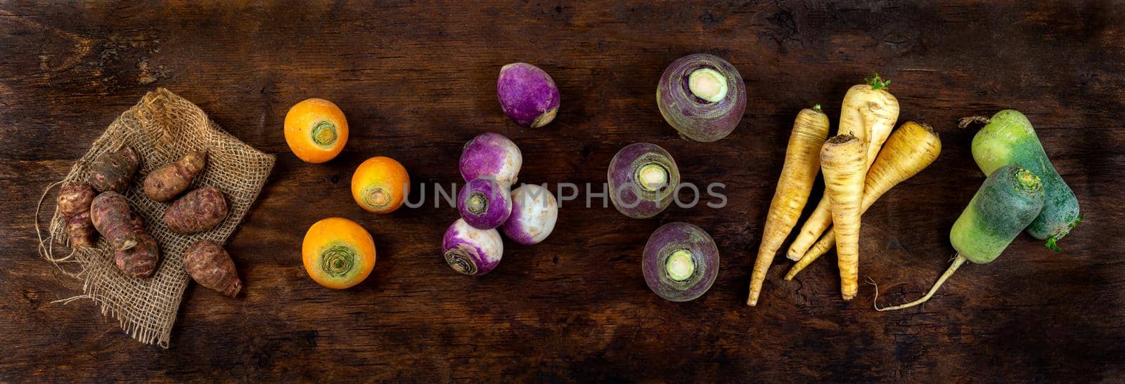 panoramic Fresh colorful radish turnip rutabagas roots at farmers market, heirloom varietal vegetables by JPC-PROD