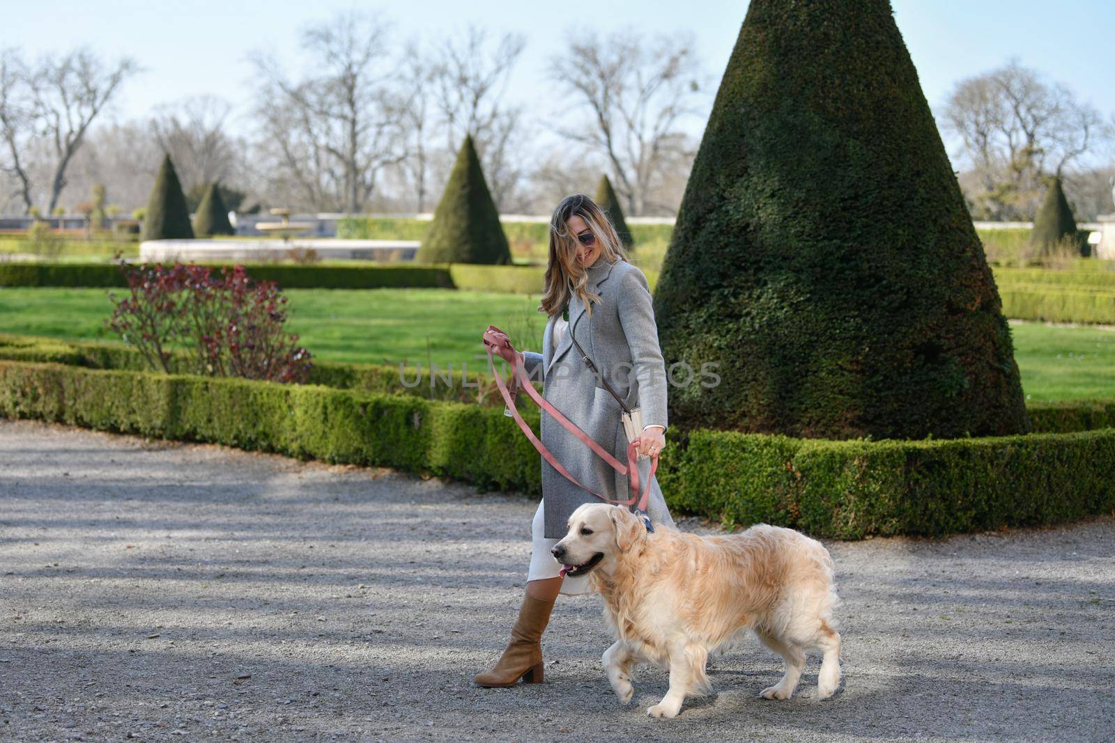 Stylish woman walking with a labrador on a leash in a park