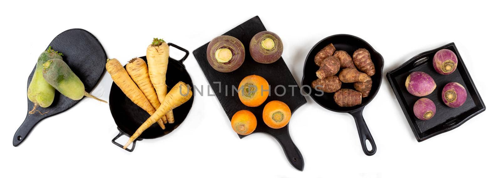 Panel of forgotten vegetables seen from above panoramic image