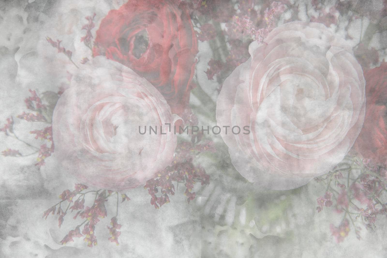 Textured old paper background with buttercup flower (Ranuculus asiaticus)