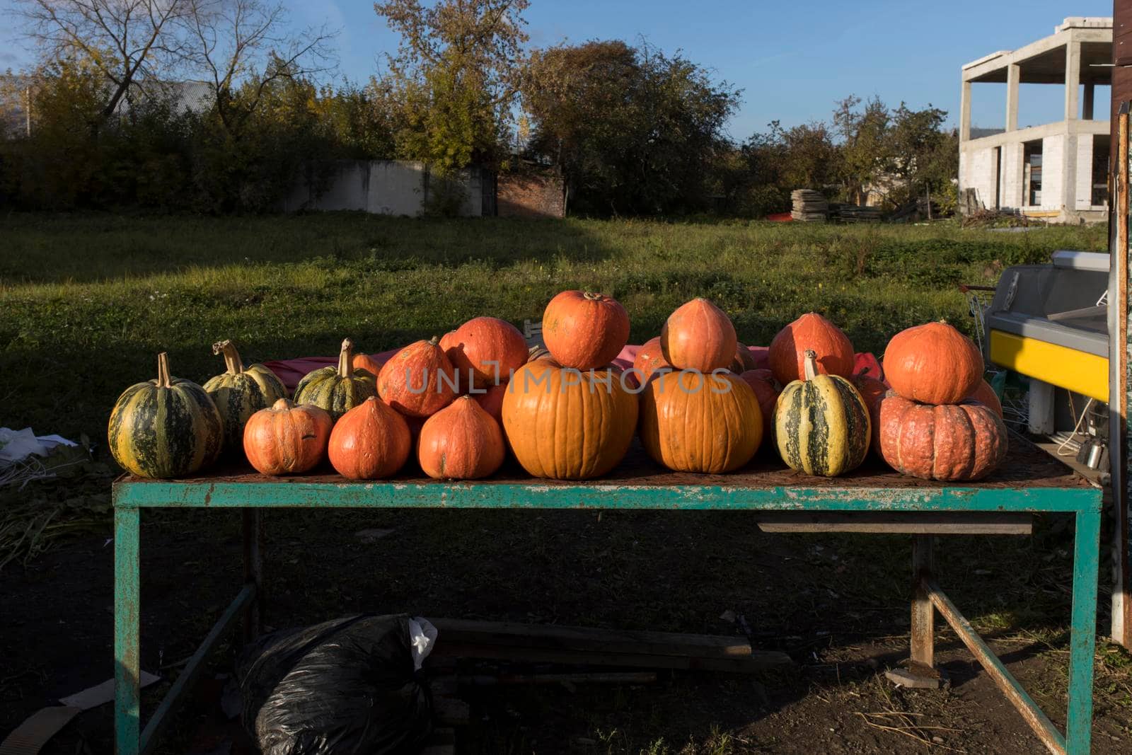 Various pumpkin varieties for sale in a village near a ruined construction site. by elenarostunova