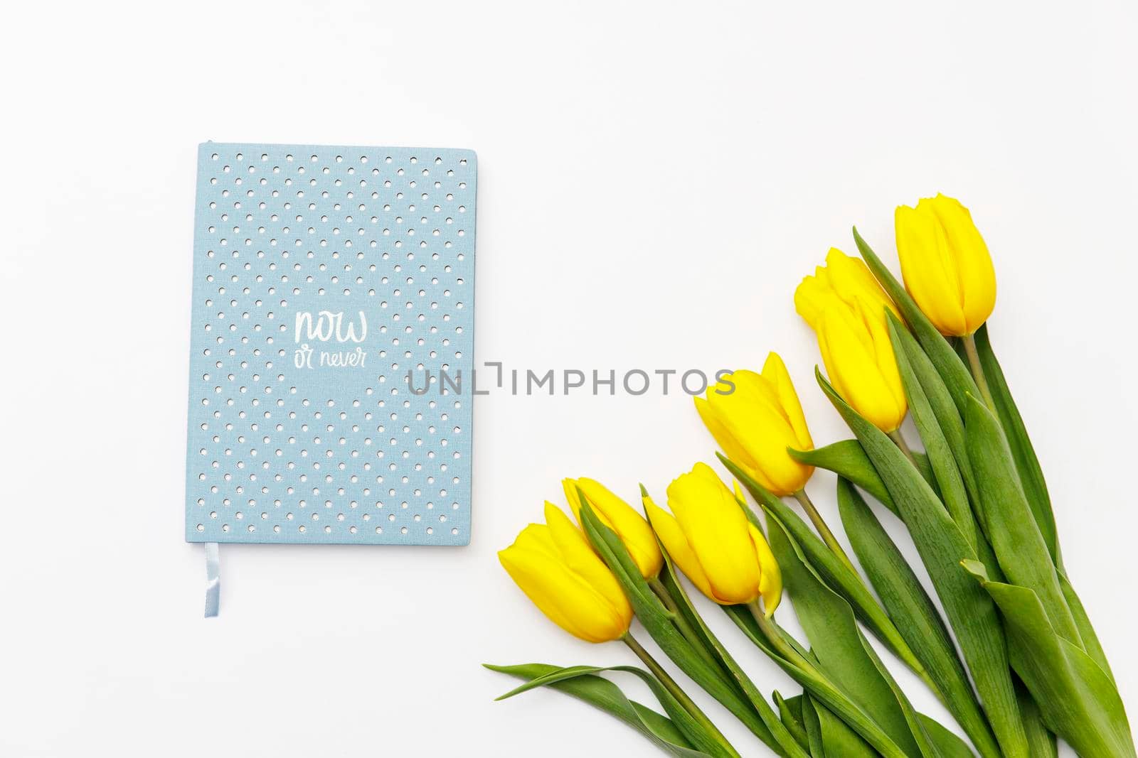 layout of yellow tulips on a white background. Blue notebook with the inscription Now or never