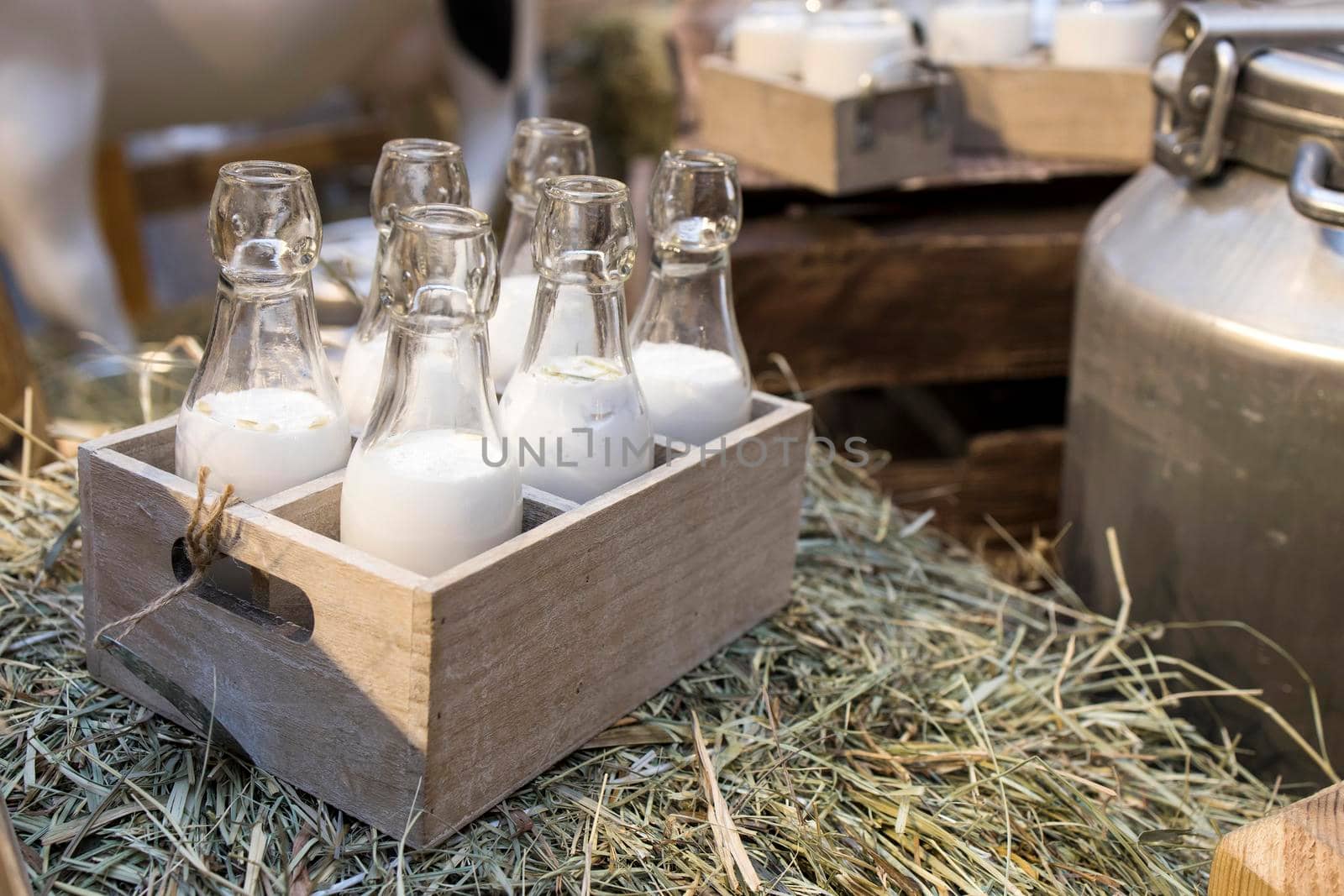 Milk - decoration on farm. Agriculture, farming. Farmer milk in bottles. Natural milk, organic milk. Vintage ornament with hay, straw and bottles with yogurt. Farmer product. Rustic decor. Products by elenarostunova