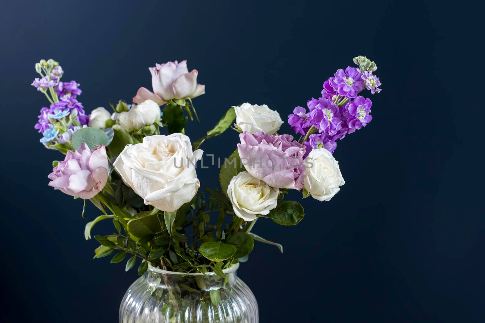 Bouquet of hackelia velutina, purple and white roses, small tea roses, matthiola incana and blue iris in glass vase . Dark blue wall
