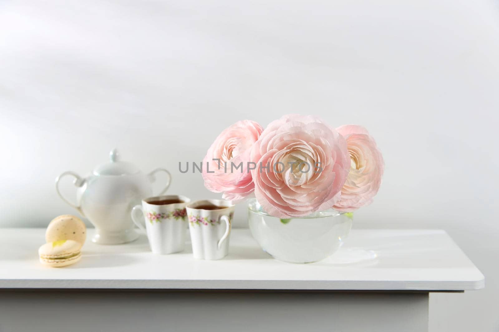 Three pale pink ranunculus in a transparent round vase on the white windowsill. Copy space. Place for text