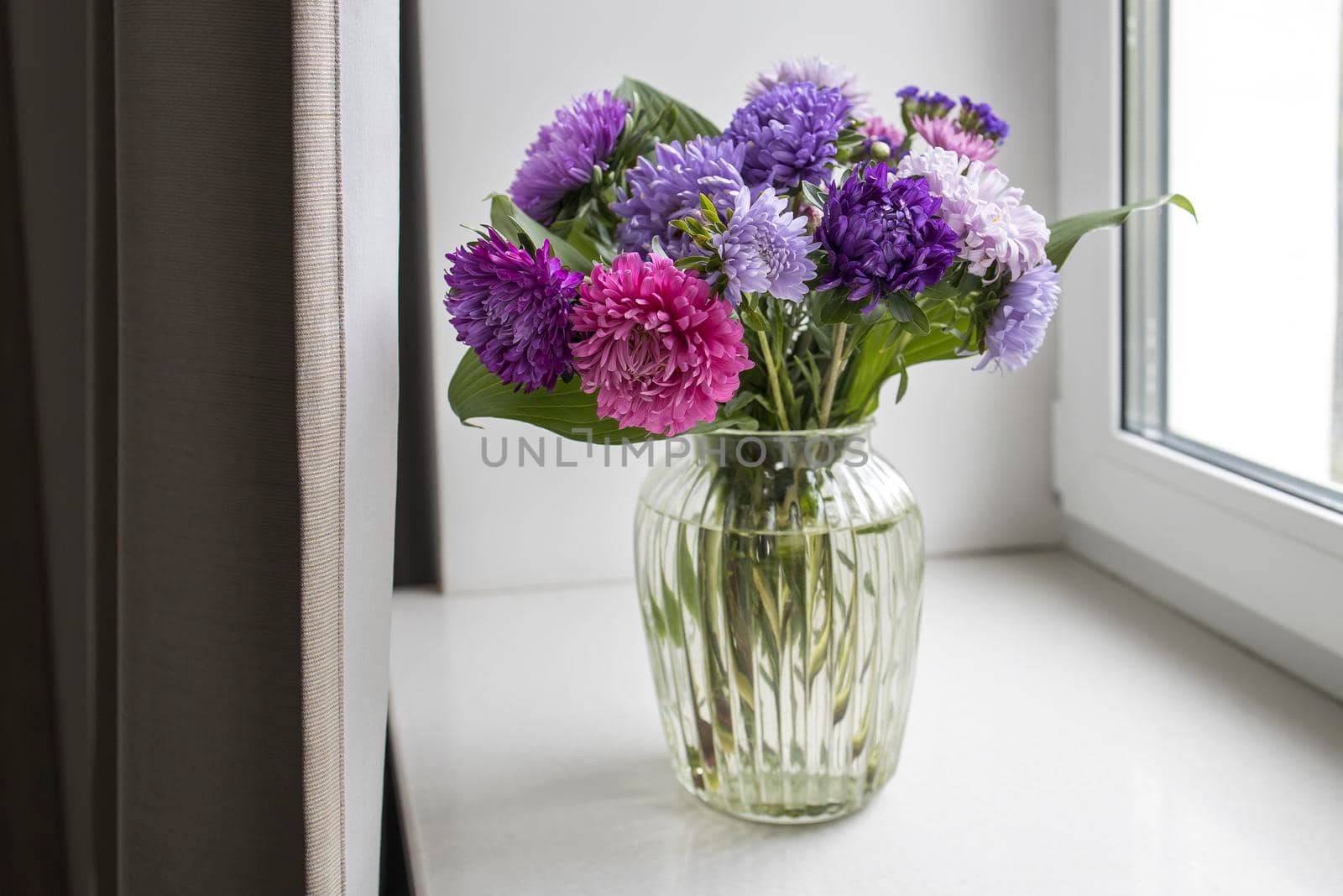 bouquet of colorful asters in vase is on the windowsiil by elenarostunova