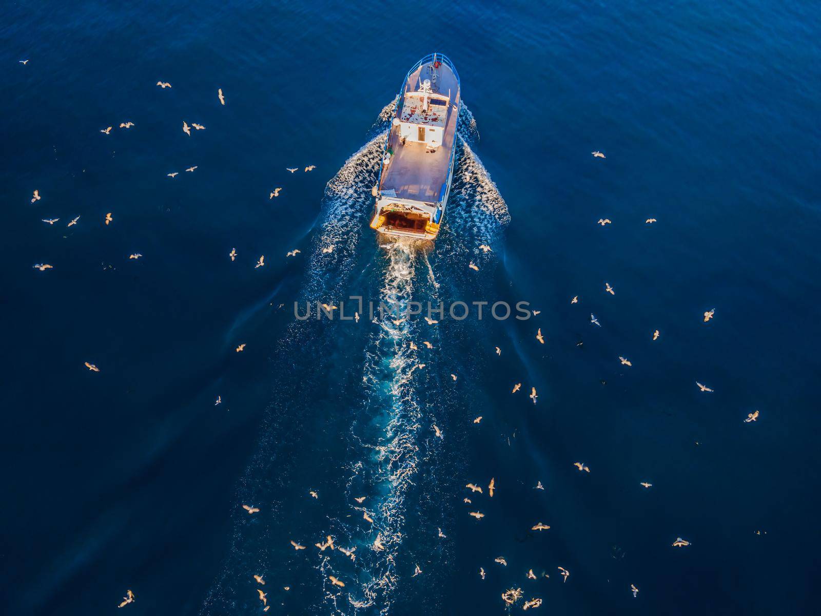 professional fisherboat with many seagulls come back in the harbor. Aerial view, drone by galitskaya