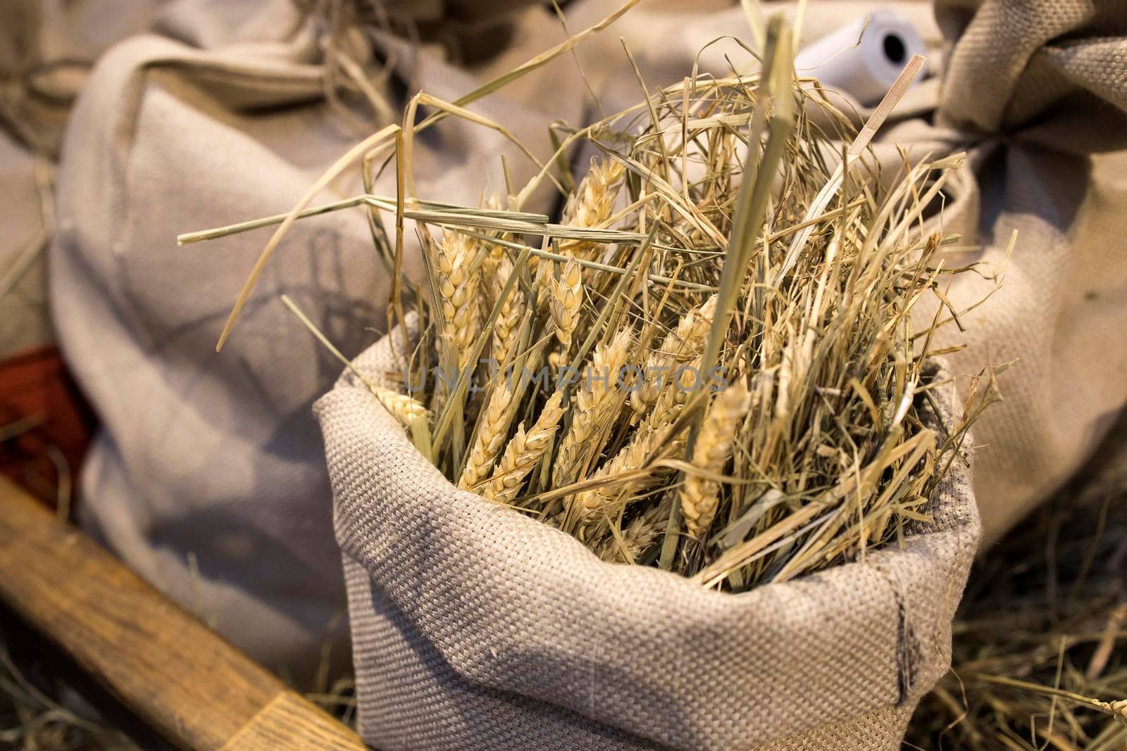 Dried ears of wheat in a canvas bag as a display decoration on the market