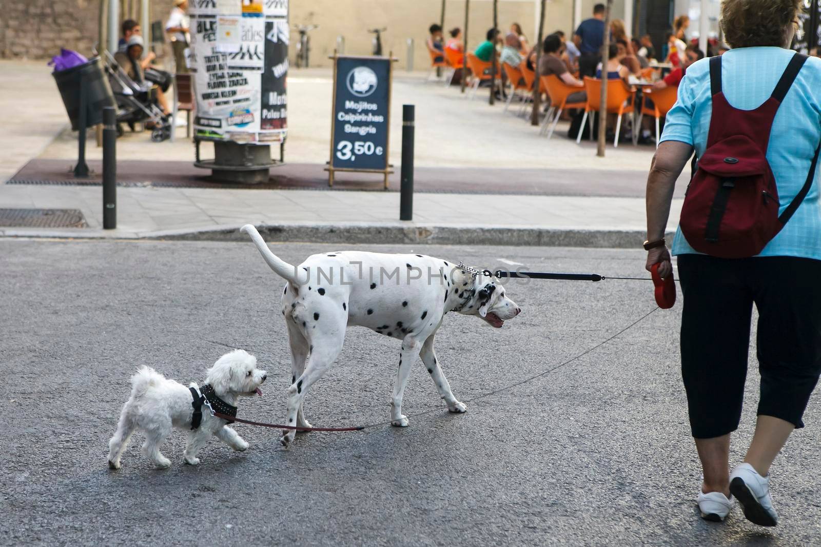 Blanes, Catalonia, Spain. - 25 July 2017, An elderly woman leads two dogs: a great dane and a lapdog on a leash for a walk