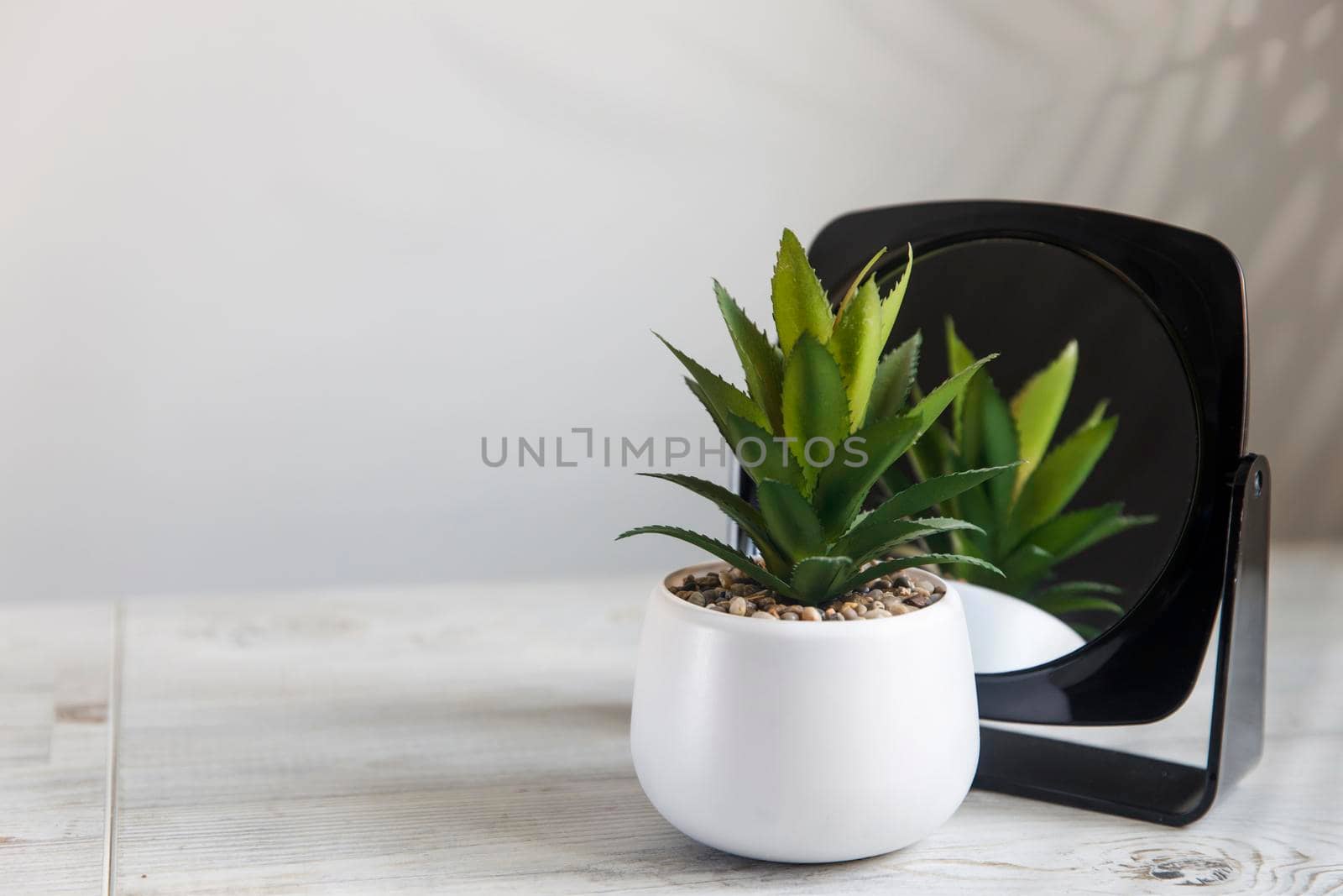 Artificial succulents in ceramic pots with mirror on the table in the kitchen as an interior decoration. Copy space. Place for text. by elenarostunova