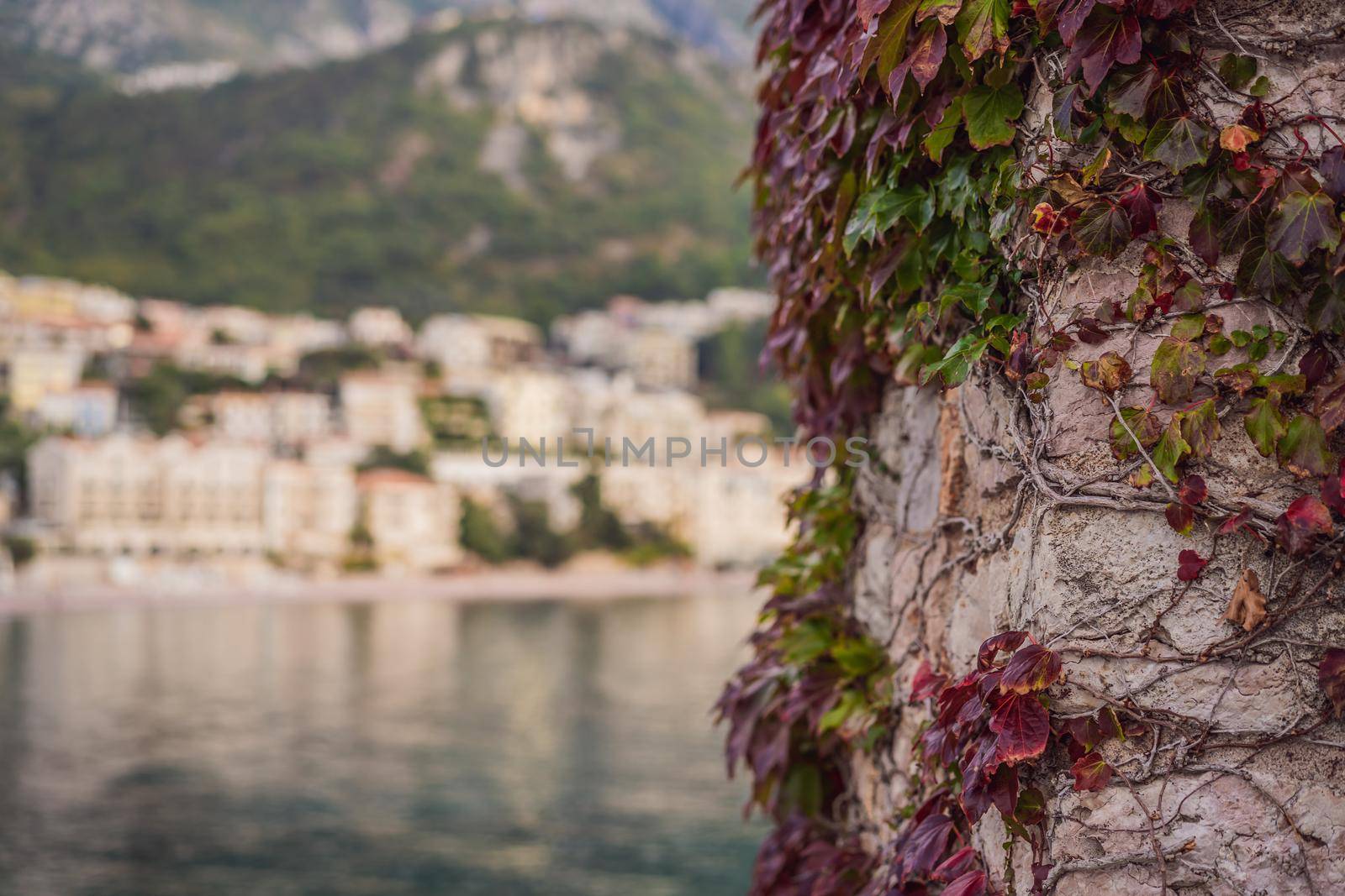 Sveti Stefan beach in sunny summer day, Budva, Montenegro by galitskaya