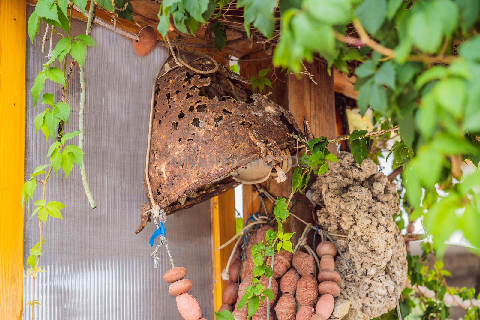 Old fishing tackle hanging in a house by the sea.