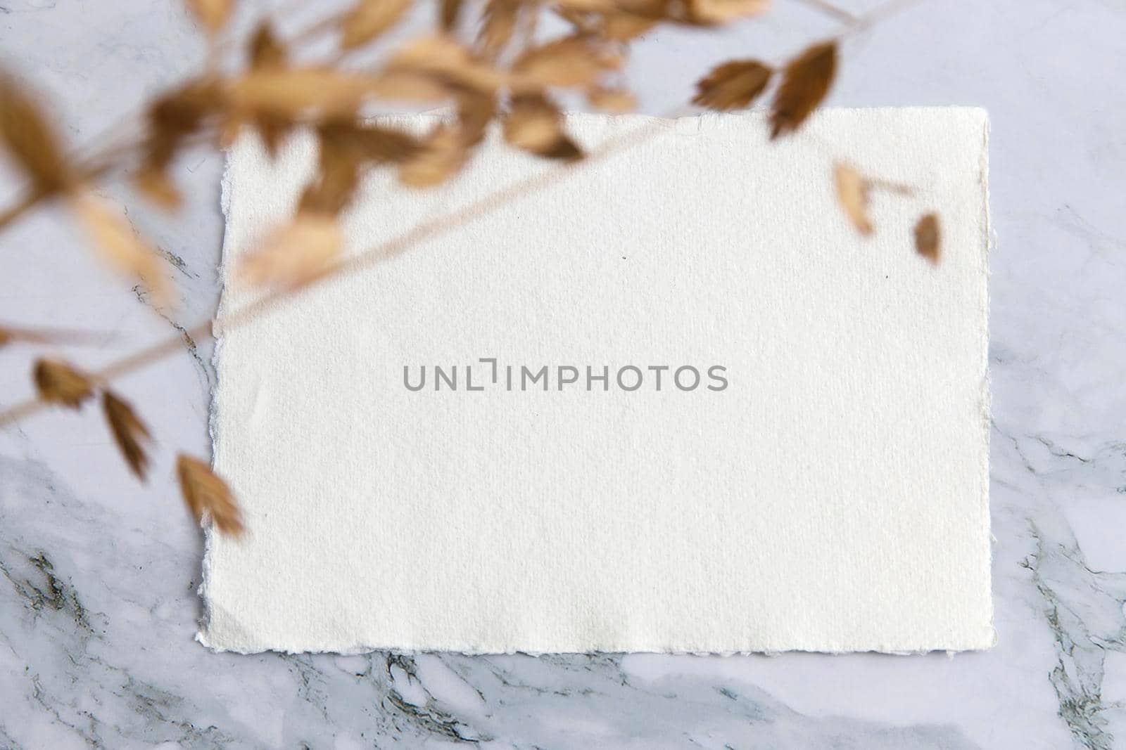 Blank paper business cards with mockup copy space on rye, wheat stalks on marble background. Minimal business template. Flatlay, top view. by elenarostunova