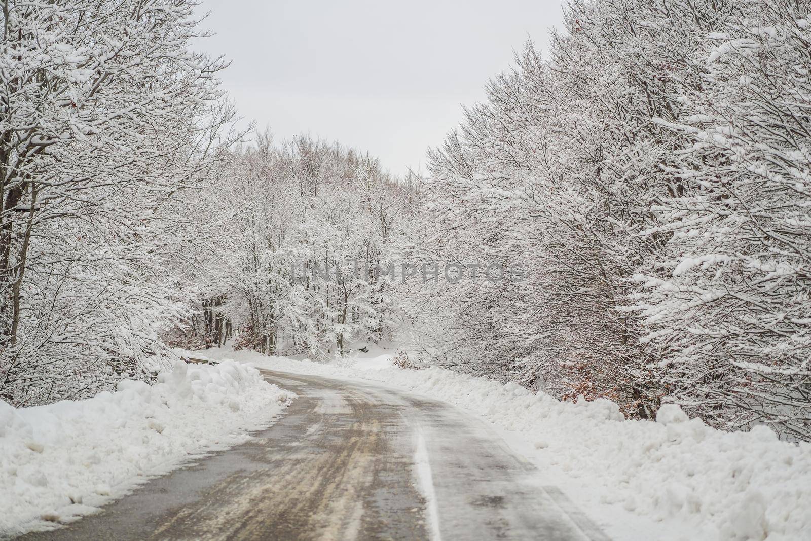 Winter road in the snow. Winter road trip by galitskaya
