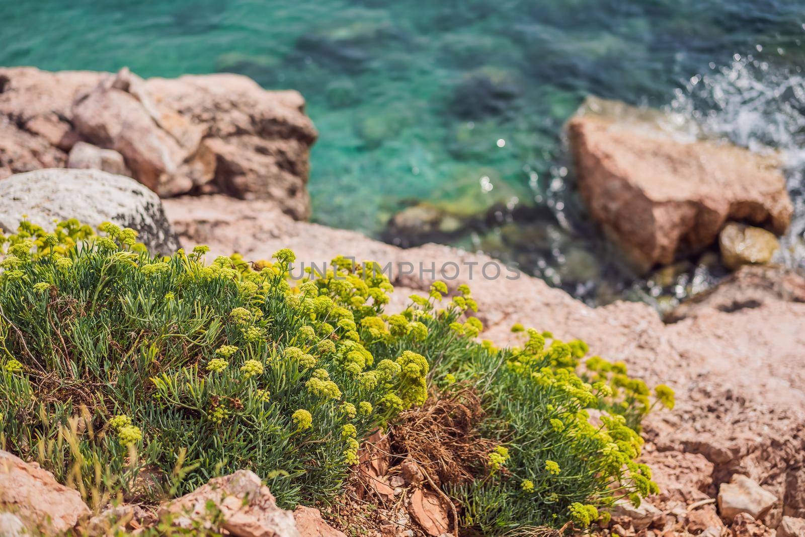 Beautiful rocks in the sea in Montenegro. Montenegro is a popular tourist destination in Europe.