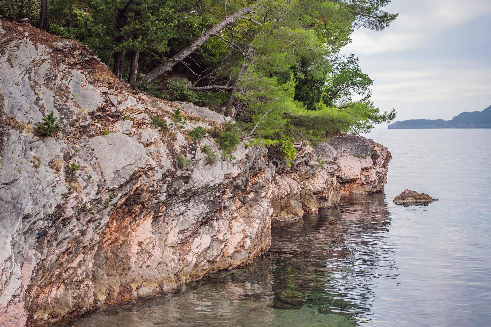 Panoramic summer landscape of the beautiful green Royal park Milocer on the shore of the the Adriatic Sea, Montenegro.