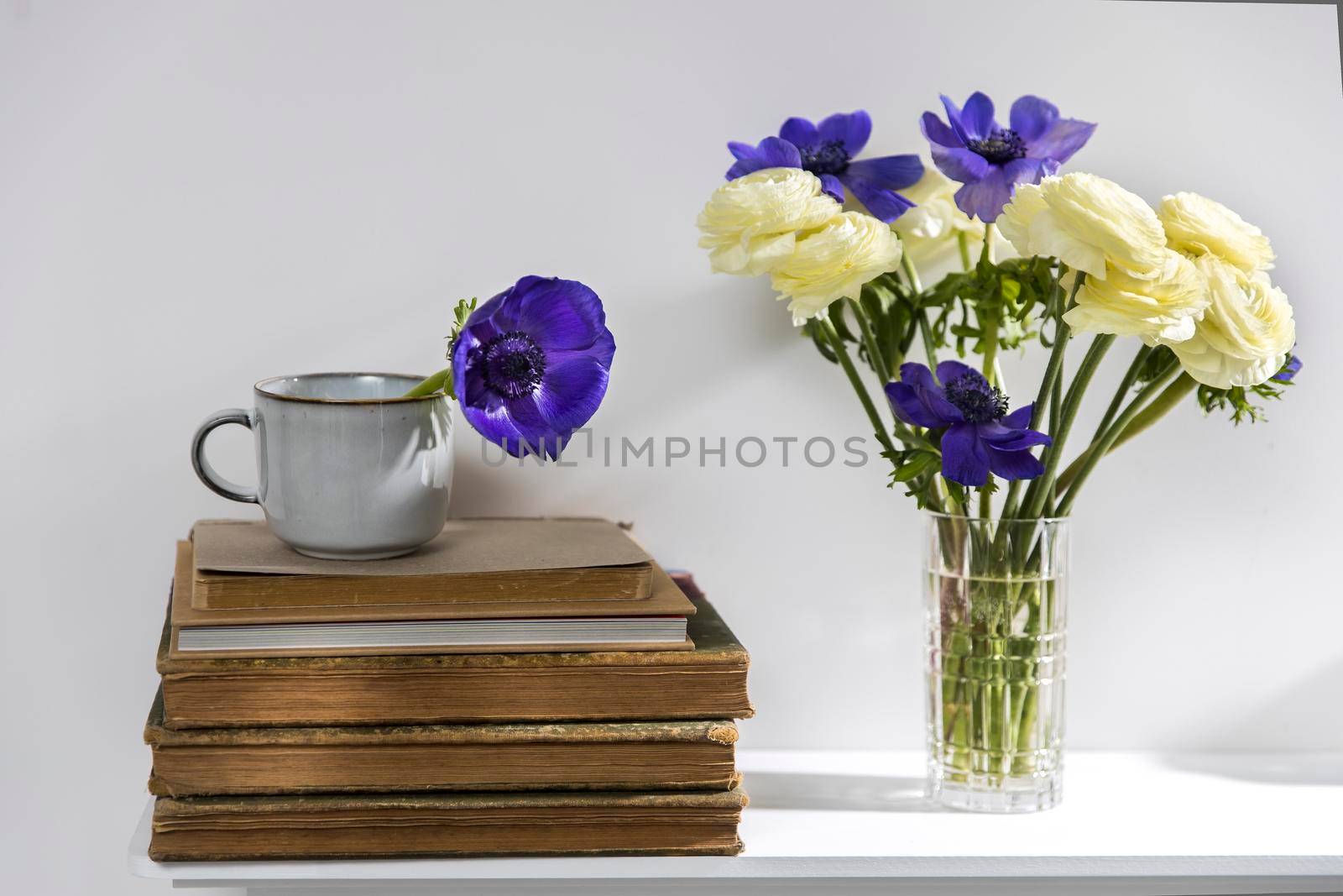 One blue anemone in a cup in the style of the seventies on the table with books as an interior decoration.