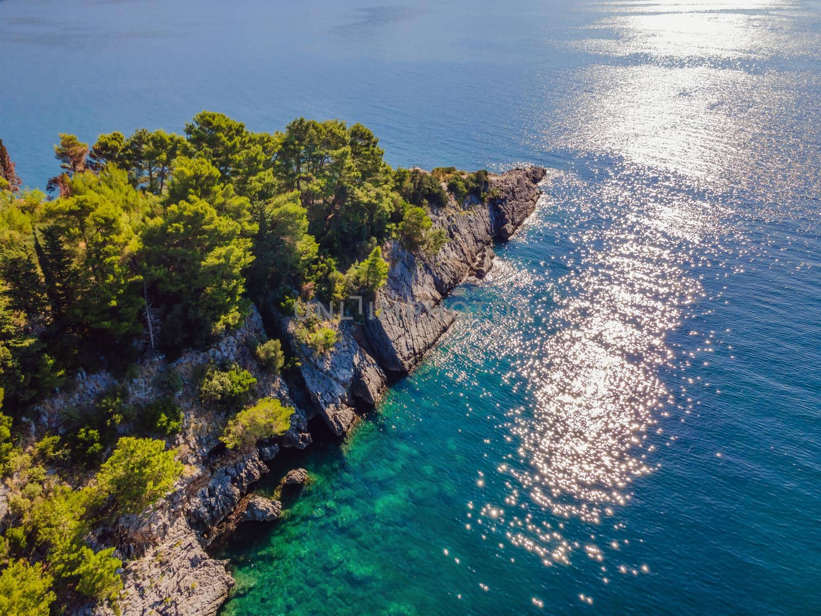 Picturesque sea Adriatic coast of Montenegro. Turquoise Mediteran sea and rocky shore with evergreen coniferous trees. Wonderful summer landscape. Drone.