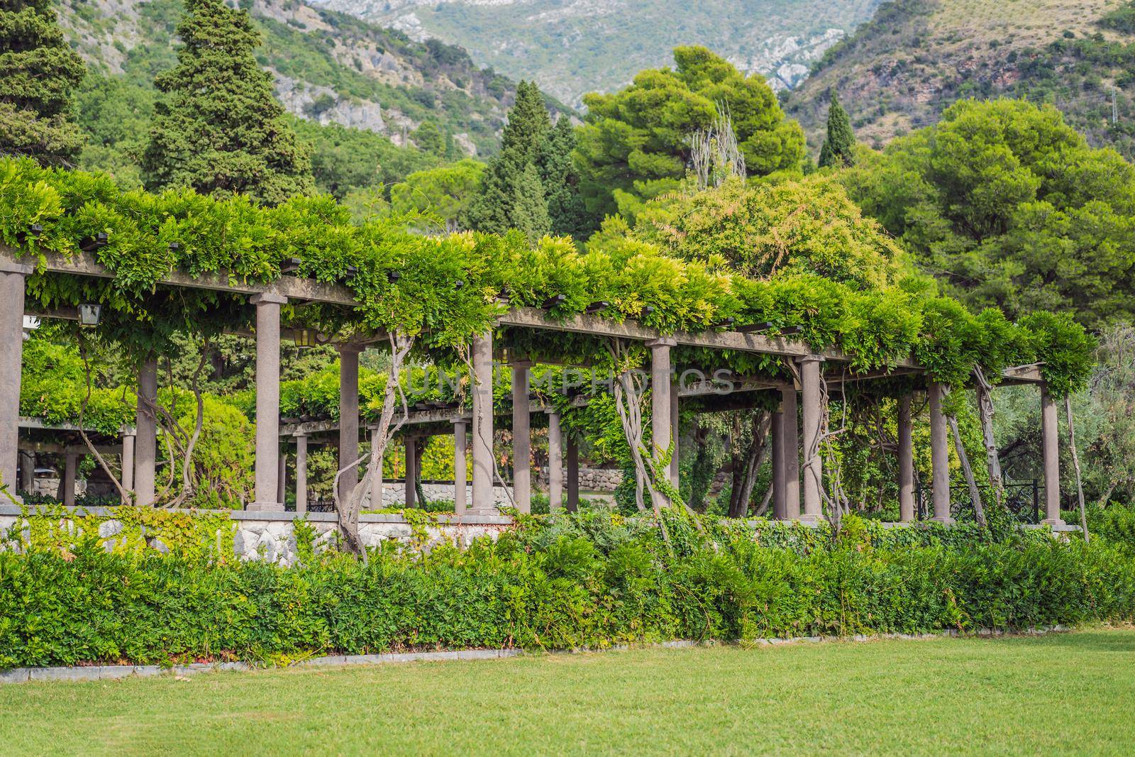 Panoramic summer landscape of the beautiful green Royal park Milocer on the shore of the the Adriatic Sea, Montenegro.