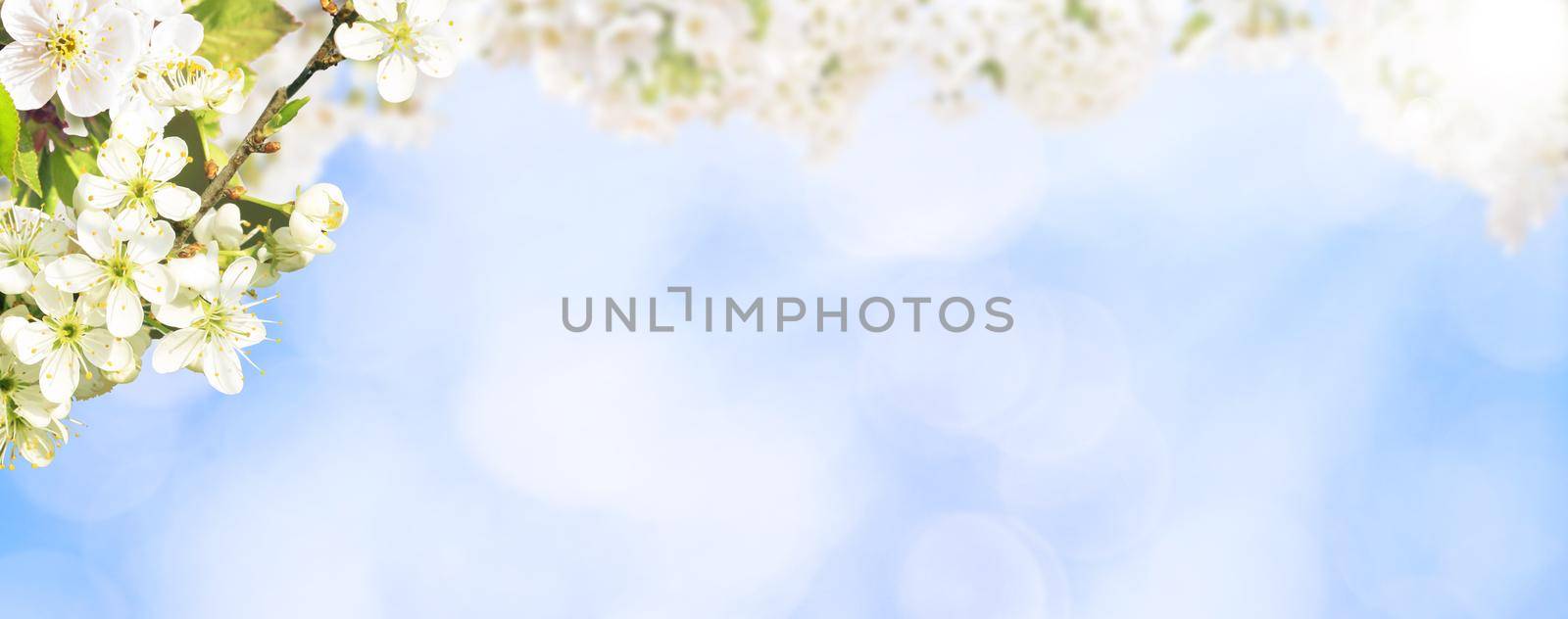Spring banner background with copy space.