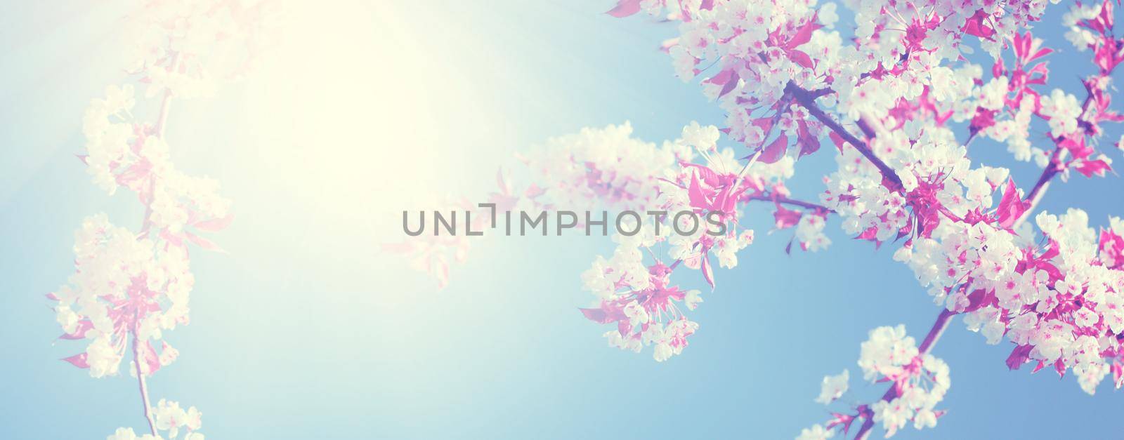 Spring banner background with copy space.