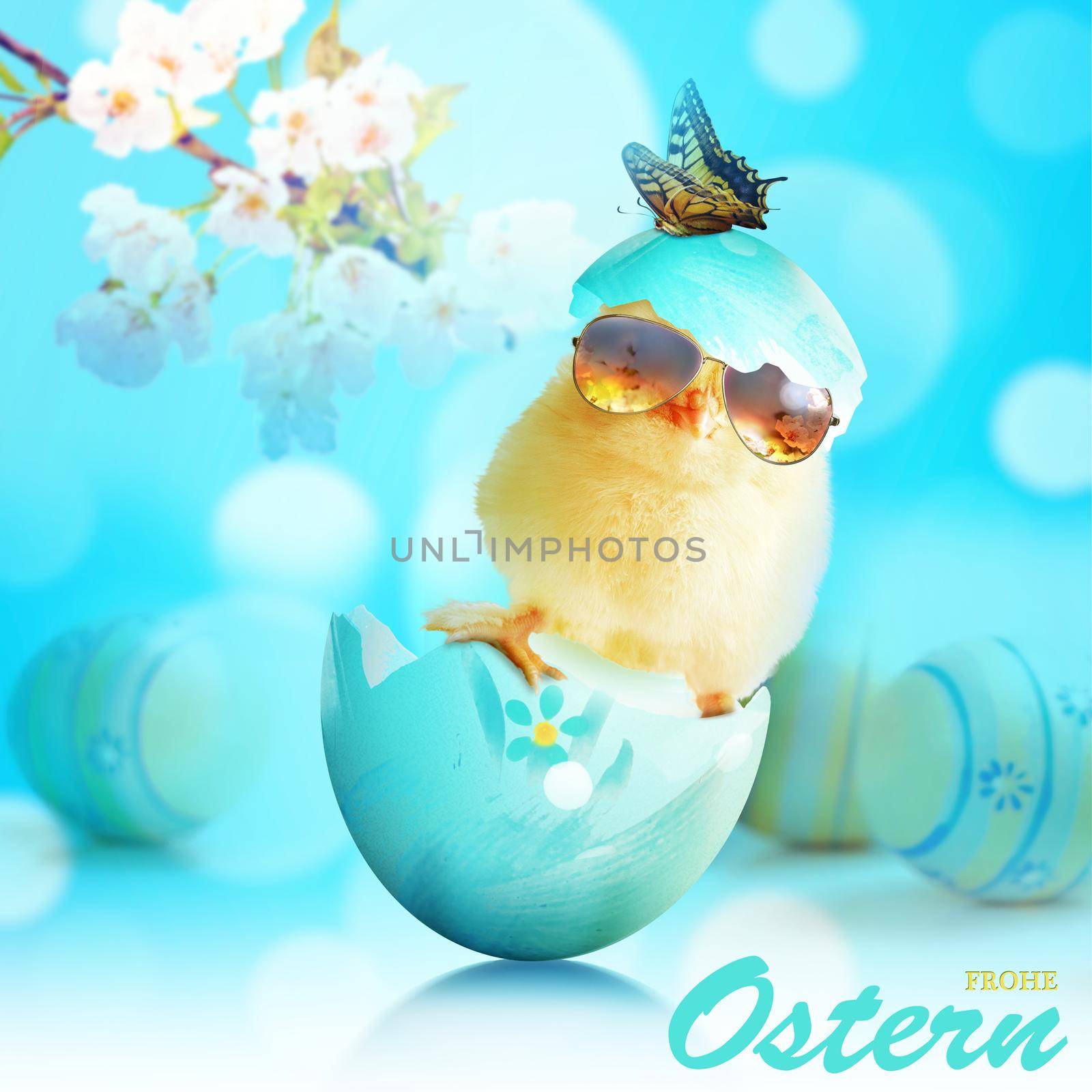 Funny cute baby chick with sunglasses and egg. by Taut