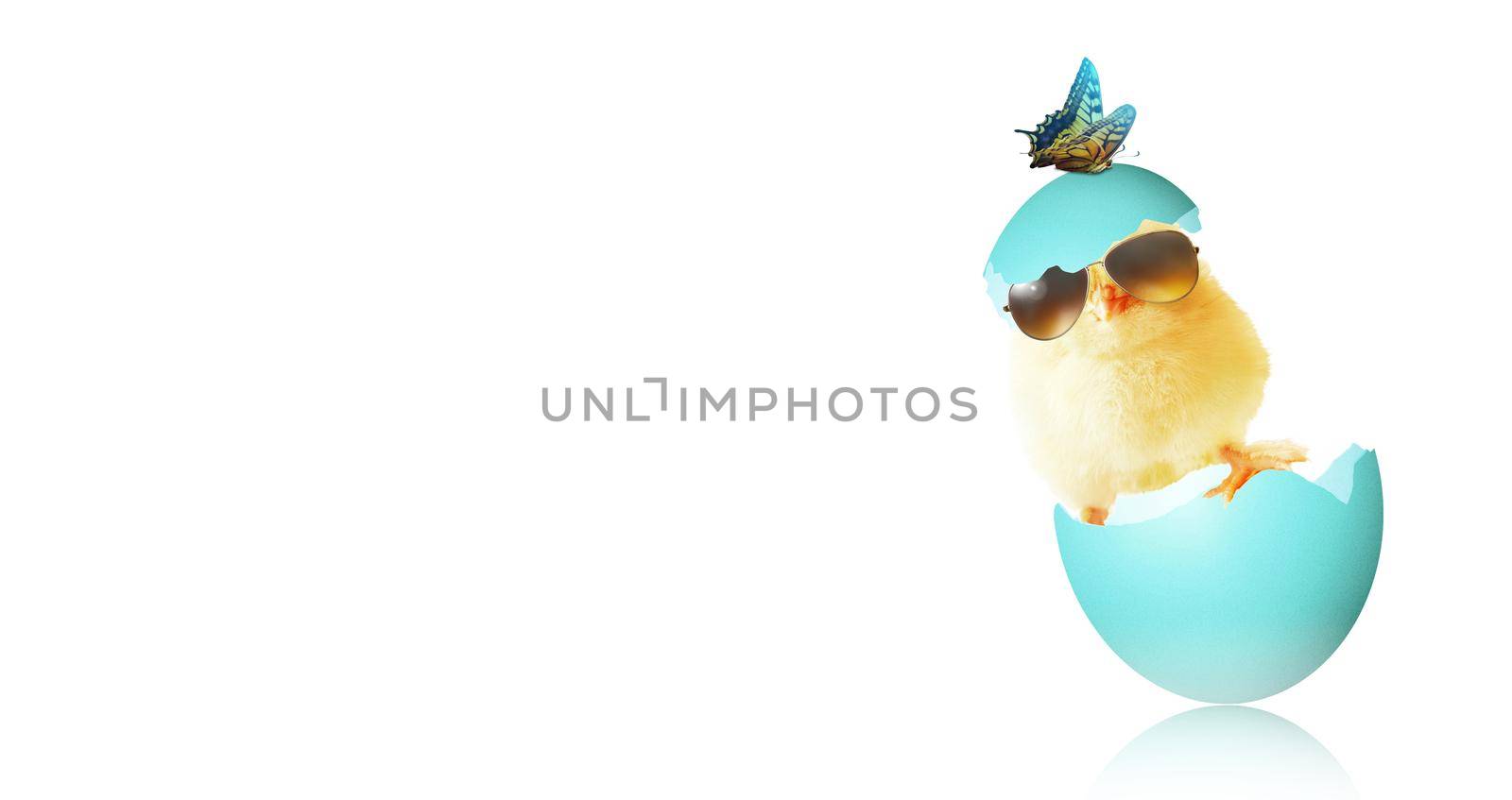 An Easter decoration with cool chicken. Easter holiday concept.