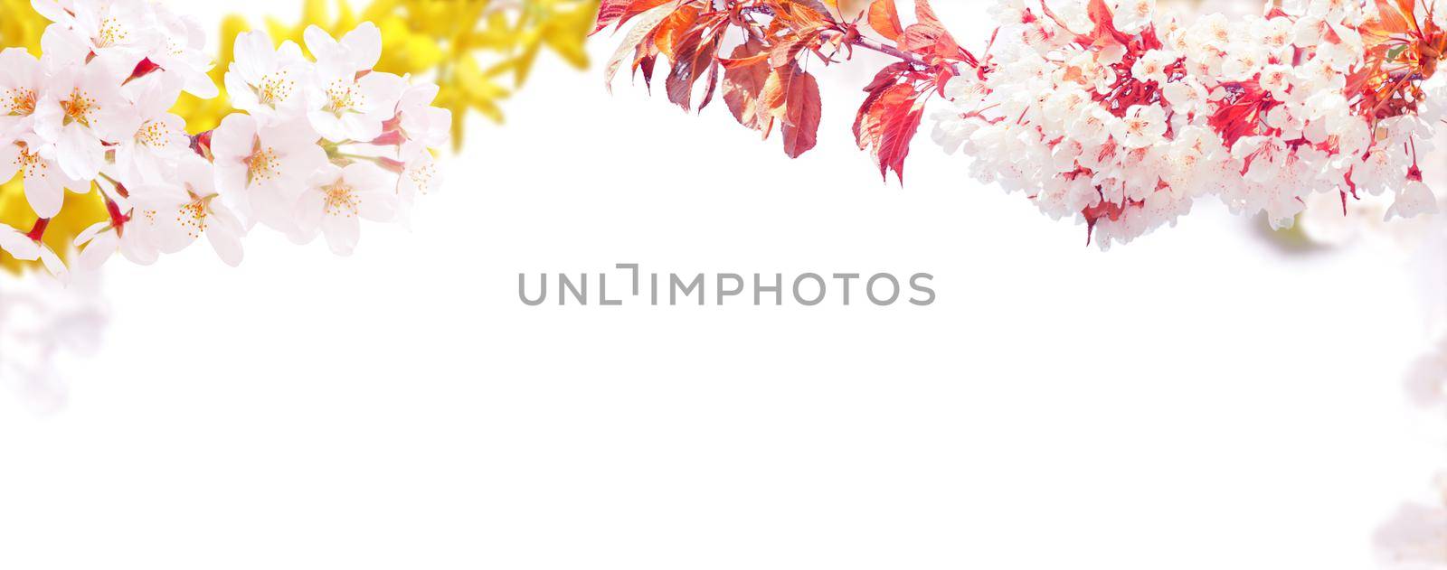 Spring banner background with copy space.