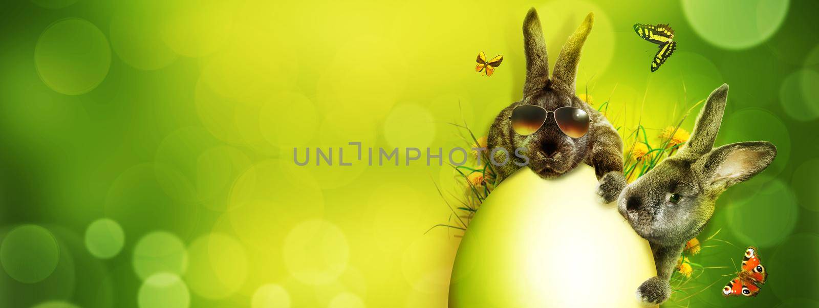Easter composition with rabbit. Festive decoration. Happy Easter.