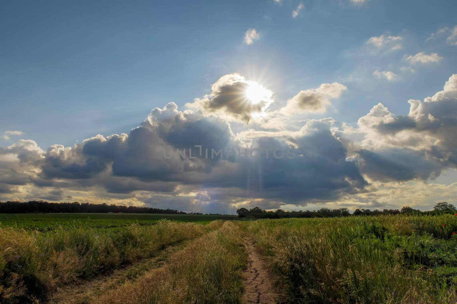 Rural day landscape with the country road and  amazing sky with clouds and sun by EdVal