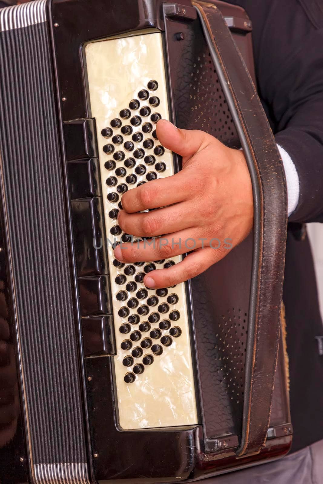 A man plays the accordion, up close. Vertical view