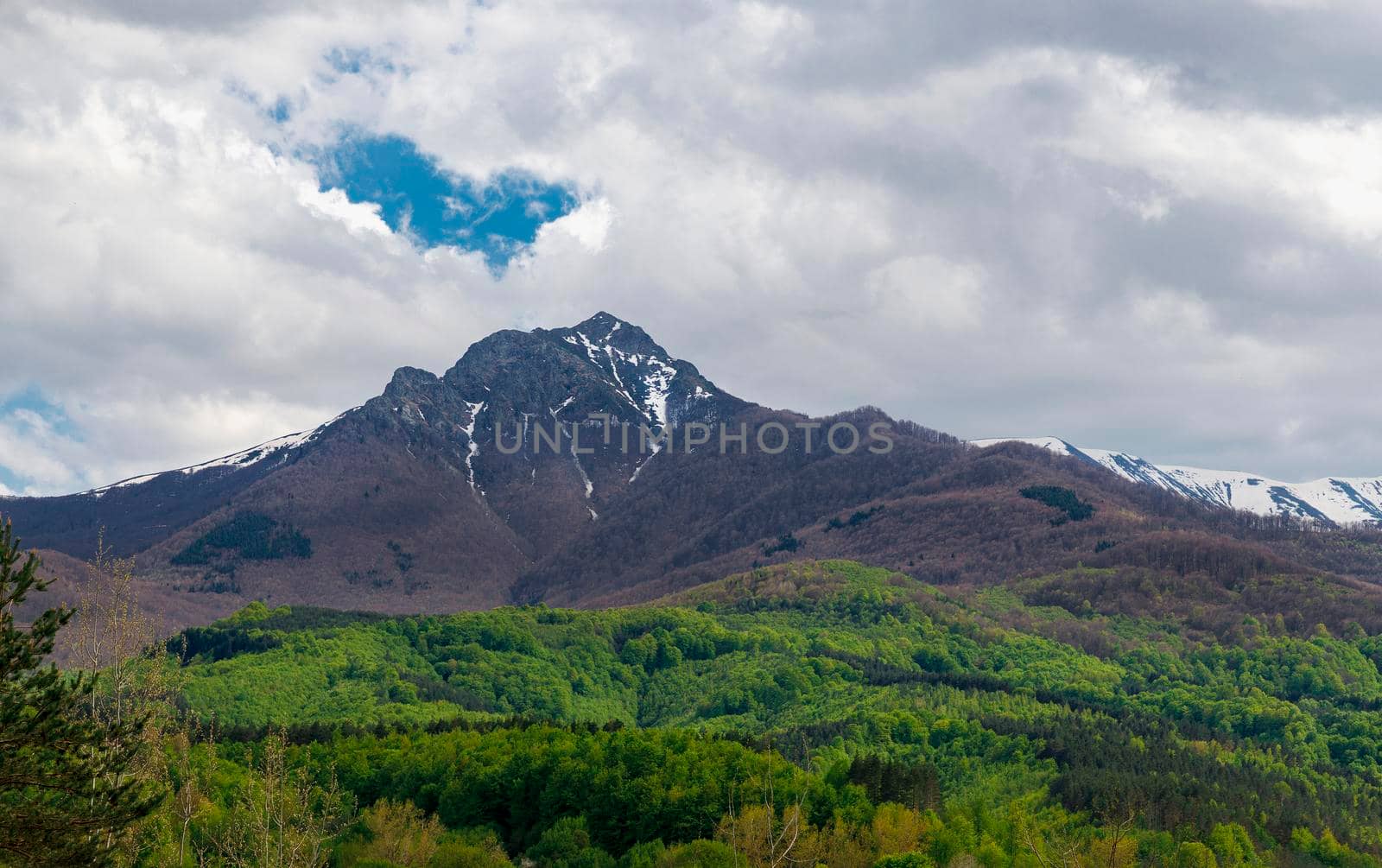 Colorful landscape in spring of big mountain peak and green forest.