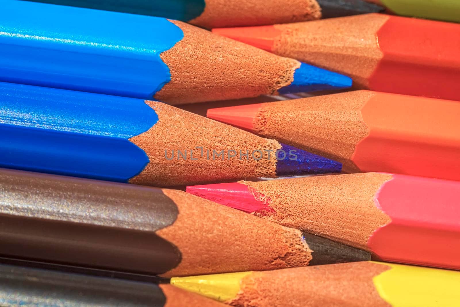 Set of colored pastel pencils in row multi color in form of a closed zipper and pencil sharpener 