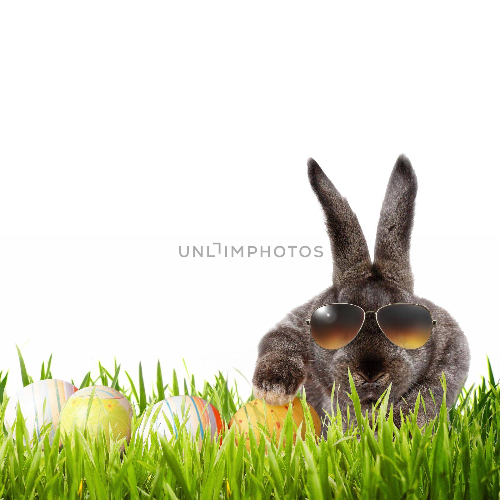 Funny Easter bunny. Happy Easter holiday concept. by Taut