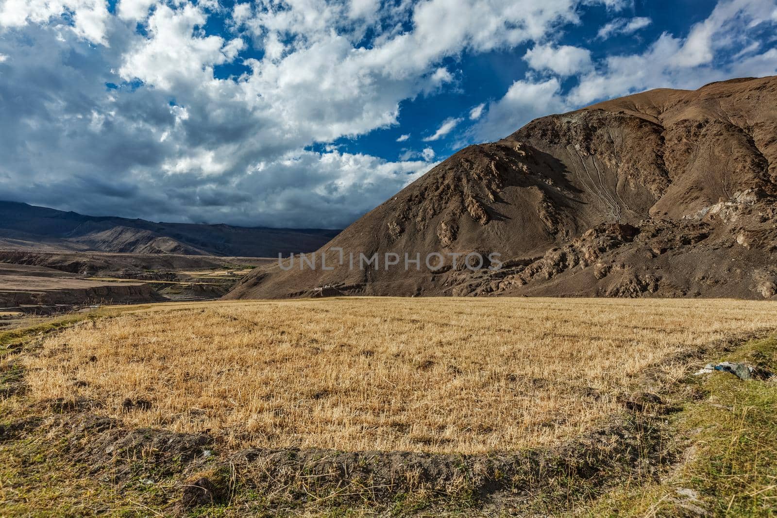 Himalayan landscape. Ladakh, India by dimol