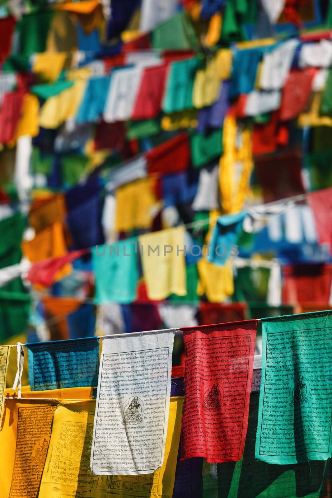 Buddhist prayer flags lungta with Om Mani Padme Hum Buddhist mantra prayer meaning Praise to the Jewel in the Lotus on kora around Tsuglagkhang complex. McLeod Ganj, Himachal Pradesh, India